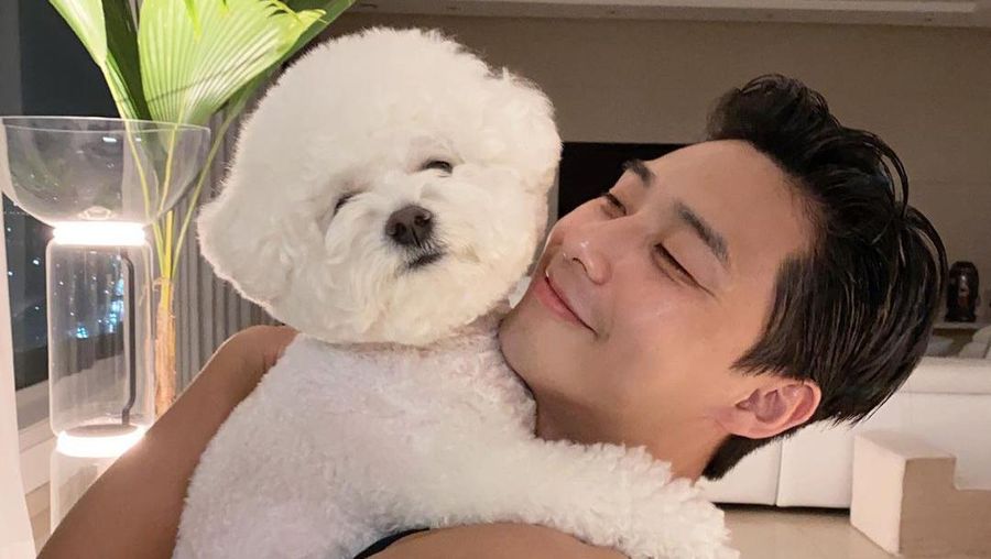 Park Seo-joon (Tangkapan Layar via Instagram @bn_sj2013)