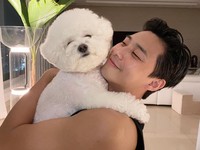 Sembuh Covid, Park Seo Joon Terbang ke Hungaria untuk Syuting