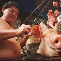 Omicron Minggir! 'Kiamat' Babi di Thailand, Warga Makan Buaya