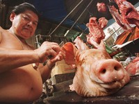 Omicron Minggir! 'Kiamat' Babi di Thailand, Warga Makan Buaya