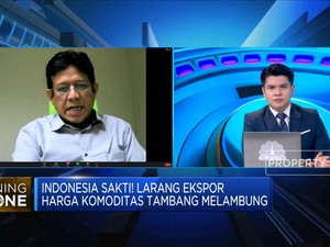 Ekspor Dilarang, Industri Lokal Siap Serap Mineral Mentah?