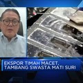Pemerintah Ungkap Kenapa Tambang Timah Swasta Tak Beroperasi