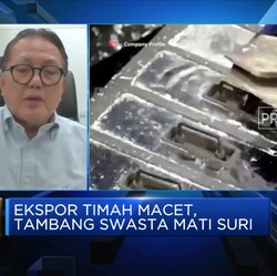 Pemerintah Ungkap Kenapa Tambang Timah Swasta Tak Beroperasi