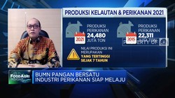 Bersatu, Ini PR BUMN Pangan dan Perikanan