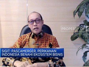BUMN Pangan Bersatu, Industri Perikanan Siap Melaju