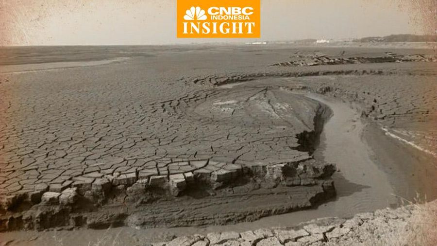 Cover Insight, Lapindo