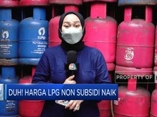 Duh! Harga LPG Non Subsidi Naik