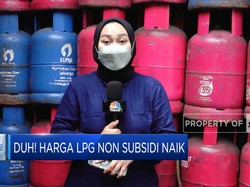 Duh! Harga LPG Non Subsidi Naik