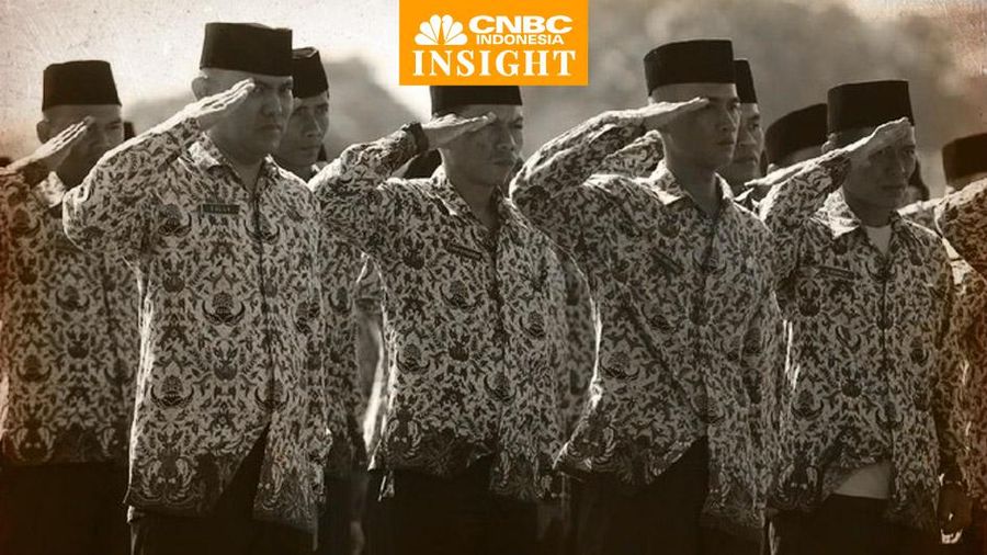 Cover Insight, PNS