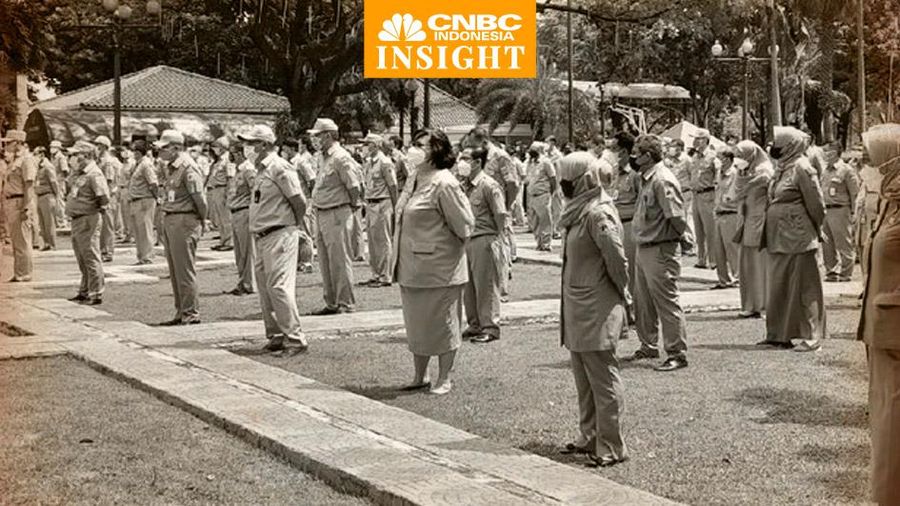 Cover Insight, PNS