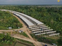 Kala 'Atlantis' Muncul di Proyek Tol Semarang-Demak