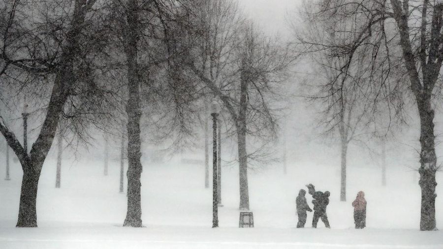 Warga beraktivitas saat salju turun di Boston Common, Boston, Massachusetts, Sabtu (29/1/2022).  Para peramal mengamati dengan cermat rekor hujan salju baru, terutama di Boston, di mana salju terberat diperkirakan akan turun Sabtu malam. (AP Photo/Michael Dwyer)