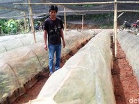 Fakta-Fakta 'Harta Karun' Hijau yang Dimiliki RI, Ini Dia!
