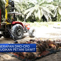 Mendag: Penerapan DMO-CPO Tak Boleh Rugikan Petani Sawit