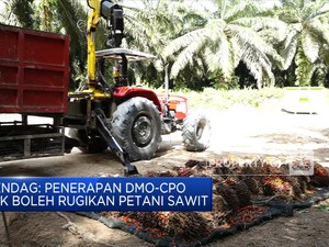 Mendag: Penerapan DMO-CPO Tak Boleh Rugikan Petani Sawit