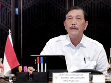 Luhut: Positivity Rate Covid di RI Sudah di Atas Standar WHO