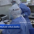 Lagi Peneliti Temukan Virus Baru "Neocov"