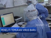 NeoCov Bukan Varian Baru Covid-19, Ini Sederet Faktanya