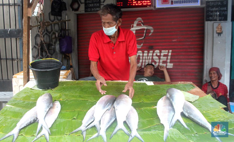 Penjual ikan bandeng musiman jelang Imlek (CNBC Indonesia/Muhammad Sabki) Penjual ikan bandeng musiman jelang Imlek (CNBC Indonesia/Muhammad Sabki)