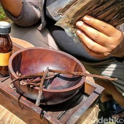 RI Punya 'Harta Karun Hijau' Segini Harganya