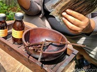 RI Punya 'Harta Karun Hijau' Segini Harganya