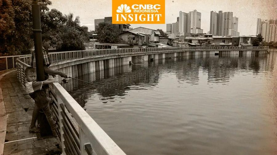 Cover Insight, Sunter