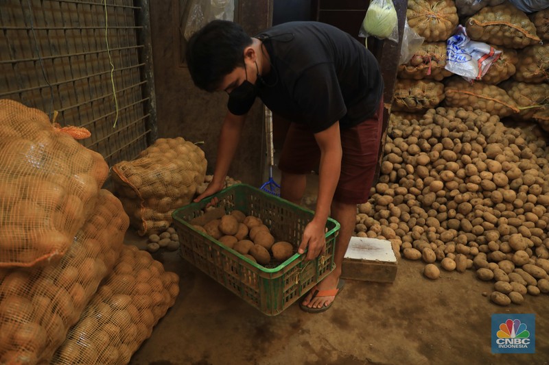 Pedagang kentang di Pasar Induk Keramat Jati, Jakarta, Rabu, (2/2/2022) (CNBC Indonesia/Muhammad Sabki)