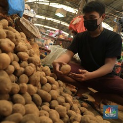 Tak Punya Bibit Kentang-Cabai Unggul, RI Sampai Gandeng China