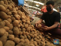 Tak Punya Bibit Kentang-Cabai Unggul, RI Sampai Gandeng China
