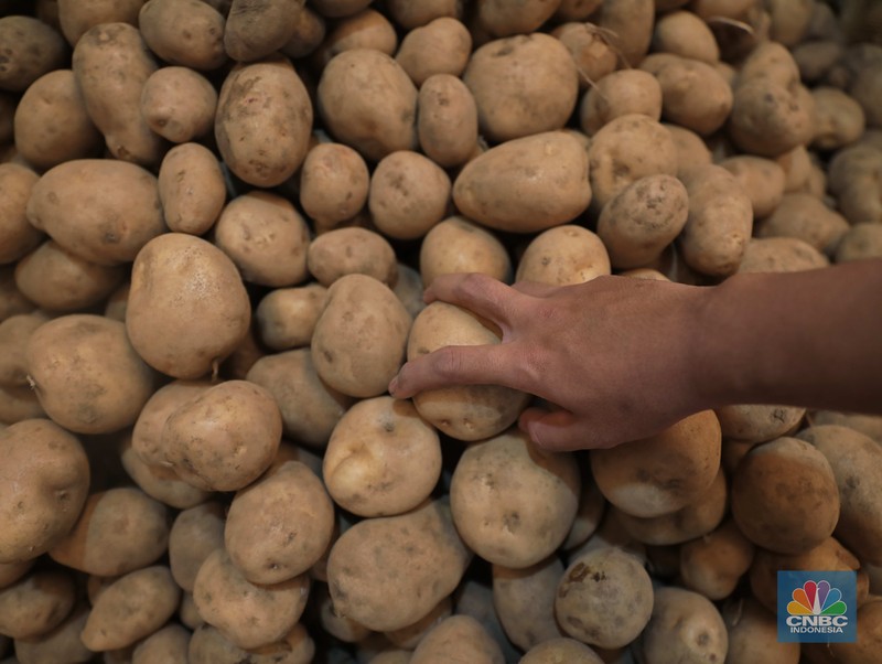 Pedagang kentang di Pasar Induk Keramat Jati, Jakarta, Rabu, (2/2/2022) (CNBC Indonesia/Muhammad Sabki)