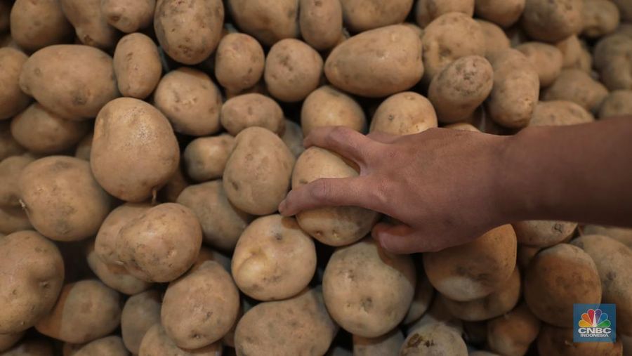 Pedagang kentang di Pasar Induk Keramat Jati, Jakarta, Rabu, (2/2/2022) (CNBC Indonesia/Muhammad Sabki)
