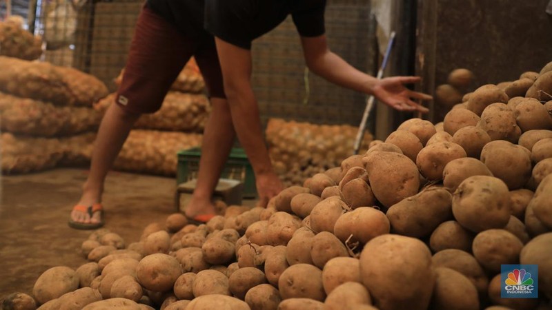 Pedagang kentang di Pasar Induk Keramat Jati, Jakarta, Rabu, (2/2/2022) (CNBC Indonesia/Muhammad Sabki)