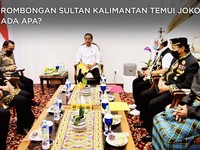 Saat Rombongan Sultan Kalimantan Temui Jokowi, Ada Apa?