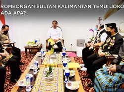Saat Rombongan Sultan Kalimantan Temui Jokowi, Ada Apa?