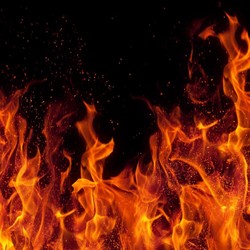 Belajar dari Kasus Polwan Bakar Suami, Judi Bikin Hidup Hancur!