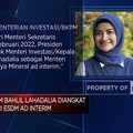 Bahlil Lahadalia Diangkat Jadi Menteri ESDM Ad Interim
