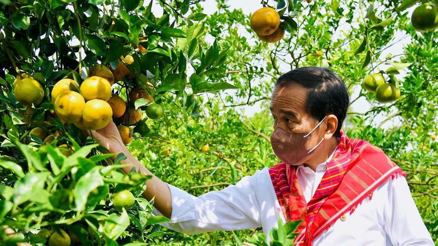 Presiden Joko Widodo menuju Kampung Jeruk, Liang Melas Datas, Kabupaten Karo, Provinsi Sumatera Utara, pada Jumat, 4 Februari 2022. (Dok: Biro Pers Sekretariat Presiden)