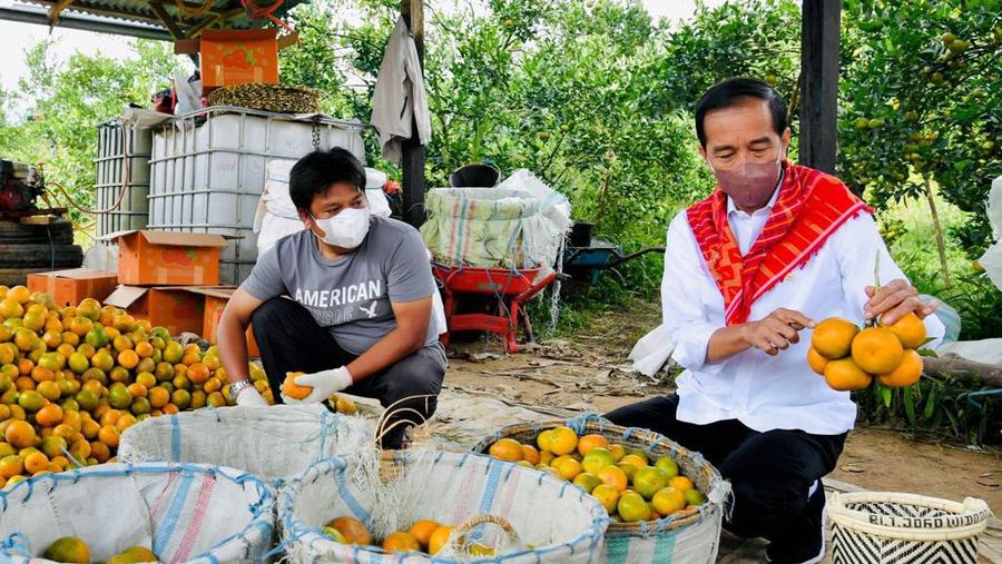 Presiden Joko Widodo menuju Kampung Jeruk, Liang Melas Datas, Kabupaten Karo, Provinsi Sumatera Utara, pada Jumat, 4 Februari 2022. (Dok: Biro Pers Sekretariat Presiden)