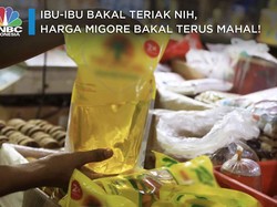 Ibu-ibu Bakal Teriak Nih, Harga Migore Bakal Terus Mahal!