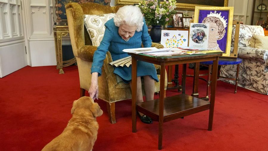 Britain's Queen Elizabeth II, joined by one of her dogs, looks at a display of memorabilia from her Golden and Platinum Jubilees in the Oak Room at Windsor Castle, Windsor, England, in this undated but recent image that was released on Friday Feb. 4, 2022. Queen Elizabeth II will mark 70 years on the throne Sunday Feb. 6, an unprecedented reign that has made her a symbol of stability as the United Kingdom navigated an age of uncertainty. (Steve Parsons/Pool via AP)