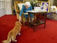 Kondisi Ratu Elizabeth Gawat, Keluarga Kerajaan Berkumpul