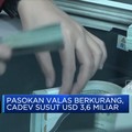 Pasokan Valas Berkurang Cadev Susut USD 3,6 Miliar