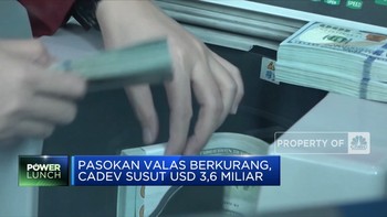 Pasokan Valas Berkurang Cadev Susut USD 3,6 Miliar