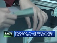 Pasokan Valas Berkurang Cadev Susut USD 3,6 Miliar