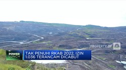 1.036 Izin Usaha Pertambangan Terancam Dicabut