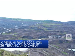 1.036 Izin Usaha Pertambangan Terancam Dicabut