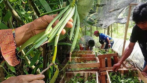 Onamning hazillari Onamning hazillari