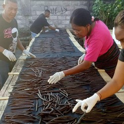 'Harta Karun' Hijau Bikin Kaget, Ini yang Bisa Bikin Mahal!