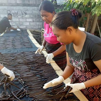 Begini Penampakan Nyata 'Harta Karun' Hijau yang Dipunyai RI