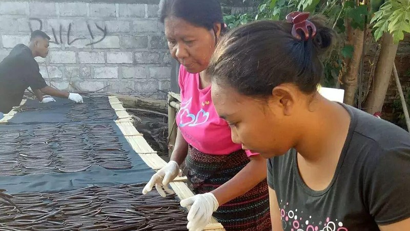 Petani menggunakan sarung tangan untuk menjaga kebersihan selama proses vanilla dryer. (Tangkapan Layar via Instagram @desa_ekspor_indonesia)